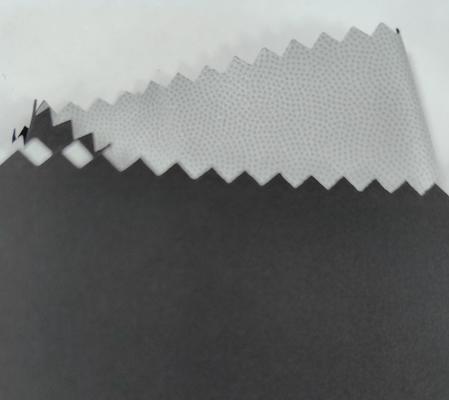 75D * 75D 100%P 141±3GSM 高弾性生地