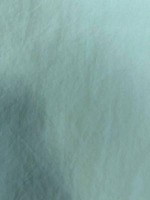 75D*75D 100%P 113GSMポリエステル